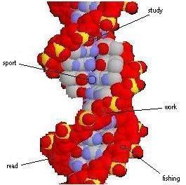 DNA