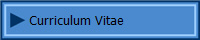  Curriculum Vitae